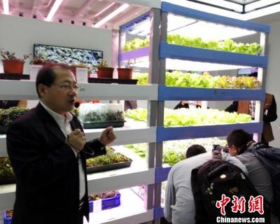 福建光電巨頭“跨界”打造植物工廠 從培育星光到滋養青綠